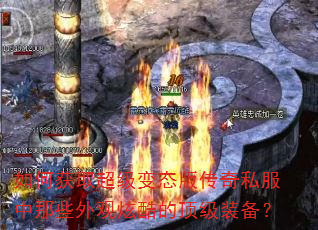��λ�ȡ������̬�洫��˽������Щ����ſ�Ķ���װ����