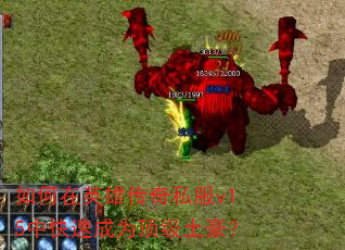 �����Ӣ�۴���˽��v15�п��ٳ�Ϊ����������