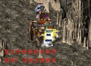 ���Ŵ��漼������ν����ϸ�������