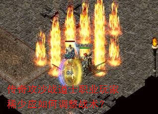 ���湥ɳս��ʿְҵ���ϡ��Ӧ��ε���ս����