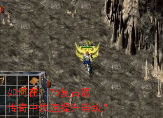 �����1.76���Ű洫���п��������ȼ���