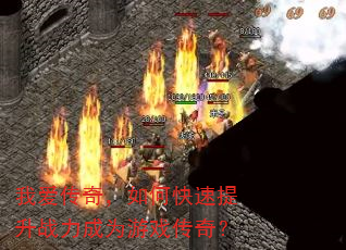 �Ұ����棬��ο�������ս����Ϊ��Ϸ���棿