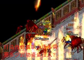 ���촫�浥ְҵ�汾��Ҫ���������ʽ�Ͷ�룿