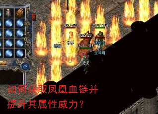 ��λ�ȡ���Ѫ��������������������