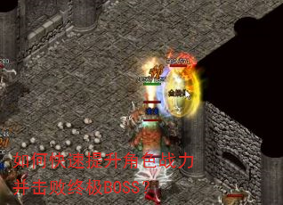 ��ο���������ɫս���������ռ�BOSS��