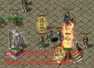 五蛇苗草酒价值几何?探寻传奇游戏中的珍稀道具攻略? 五蛇苗草酒价值几何?探寻传奇游戏中的珍稀道具攻略?
