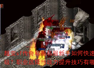 ����sf����˽��˽��������ο���������ְҵѡ����ս��������������Щ��