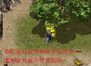 ��ְҵ�����������ο���ˢ�𲢱ܿ��������壿