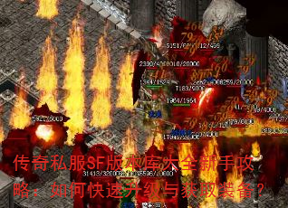 ����˽��SF�汾���ȫ���ֹ��ԣ���ο����������ȡװ����