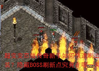 �����̬�洫��������ο���ˢ���ռ���װ������BOSSˢ�µ㾿������һ�أ�
