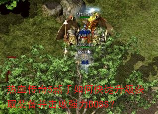 ��Ѫ����5������ο���������ȡװ��������ǿ��BOSS��