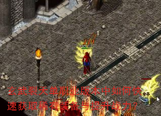 �������쵥ְҵ�汾����ο��ٻ�ȡϡ��װ��������ս����