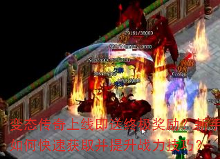 ��̬�������߼����ռ�������������ο��ٻ�ȡ������ս�����ɣ�