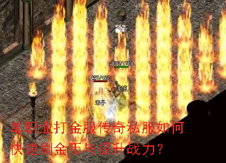��ְҵ��������˽����ο���ˢ���������ս����