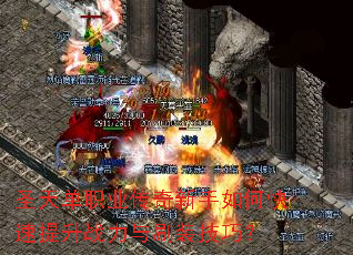 ʥ�쵥ְҵ����������ο�������ս����ˢװ���ɣ�
