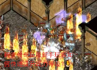 ���䴫��˽�����������ο�������ս���ȼ���