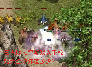 ���Ű洫����Ϸ�����ؼ���ȫ��֪�����٣�