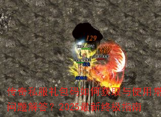 ����˽���������λ�ȡ��ʹ�ó���������2025�����ռ�ָ��