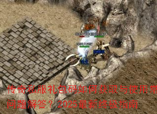����˽���������λ�ȡ��ʹ�ó���������2025�����ռ�ָ��