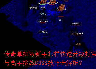 ���浥�����������������������������սBOSS����ȫ������