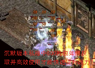 ��Ĭ�汾˽����800�����λ�ȡ����Чʹ�ò��ܿ�������ս����
