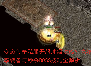 ��̬����˽�������弶���ԣ��߱���װ������ɱBOSS����ȫ����