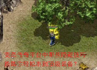 ��̬����ƽ̨����Щ���ؼ�������������ˢ������װ����