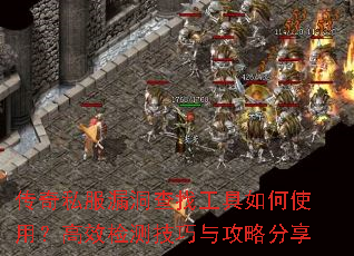����˽��©�����ҹ������ʹ�ã���Ч��⼼���빥�Է���