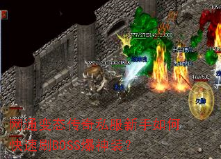 ��ͨ��̬����˽��������ο���ˢBOSS����װ��