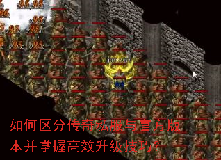 ������ִ���˽����ٷ��汾�����ո�Ч�������ɣ�