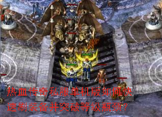��Ѫ����˽����������ο���ˢװ����ͻ�Ƶȼ�ƿ����