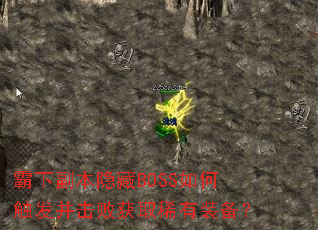 ���¸�������BOSS��δ��������ܻ�ȡϡ��װ����
