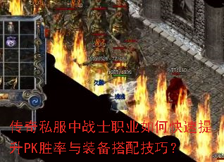 ����˽����սʿְҵ��ο�������PKʤ����װ�����似�ɣ�