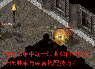 ����˽����սʿְҵ��ο�������PKʤ����װ�����似�ɣ�