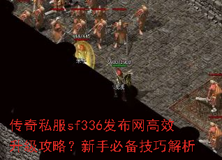 ����˽��sf336��������Ч�������ԣ����ֱر����ɽ���