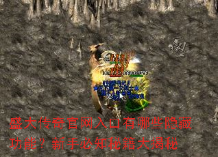 ʢ��������������Щ���ع��ܣ����ֱ�֪�ؼ������