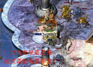 1.76��������������ͶƱ��������ף�