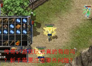 ����sf��Ϸ�淨�����Ȥ��������Ҫע����Щ���⣿