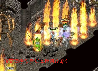 �������Ⱦ���ű�ʹ�ù��ԣ�