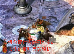 ��λ�ȡ����֮�У���̬�ϻ�������ǿ��������
