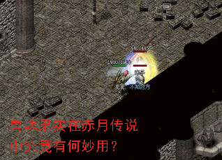 �޻��ʵ�ڳ��´�˵�о����к����ã�