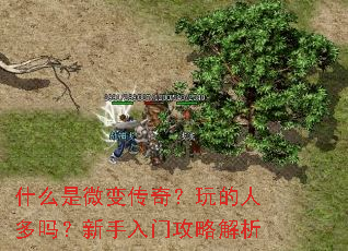 ʲô��΢�䴫�棿����˶����������Ź��Խ���