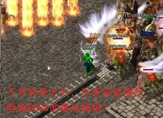 ǧ������֮�⣬�㻹֪����Щ����BOSS����ս�ؼ���