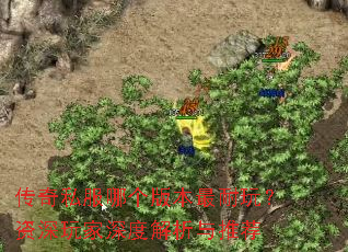����˽���ĸ��汾�����棿���������Ƚ������Ƽ�