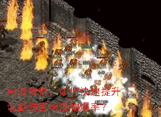 �ʵ����棺��ο��������и��˺�����ﱬ�ʣ�