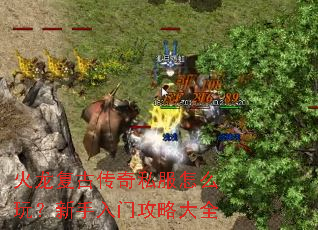 �������Ŵ���˽����ô�棿�������Ź��Դ�ȫ