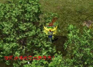 ��λ�ô����������죿