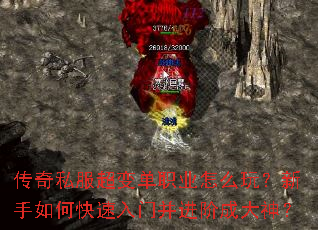 ����˽�����䵥ְҵ��ô�棿������ο������Ų����׳ɴ���