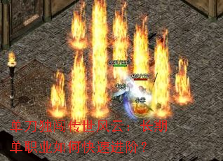 ���������������ƣ����ڵ�ְҵ��ο��ٽ��ף�