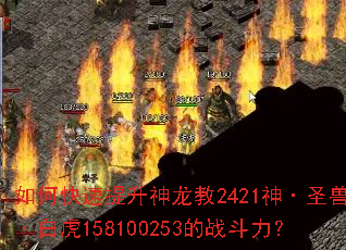 ��ο�������������2421��ʥ�ޡ��׻�158100253��ս������